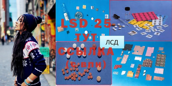 стаф Новокубанск