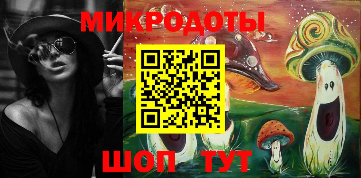 Касимов  Псилоцибиновые грибы Psilocybe  закладки  Вход с VPN 