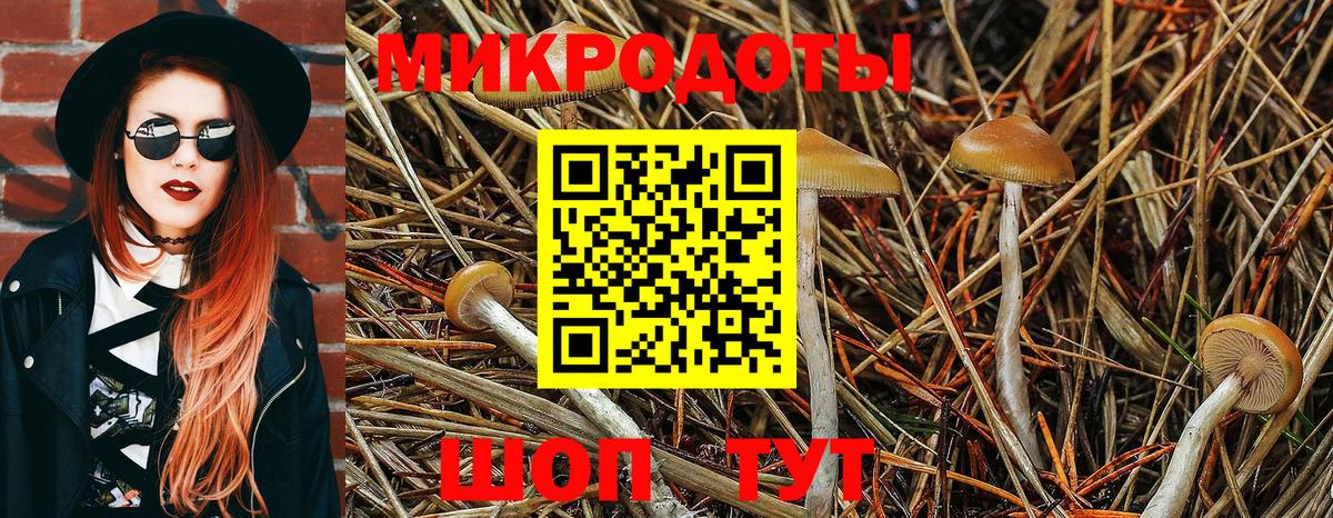  COCAIN Касимов