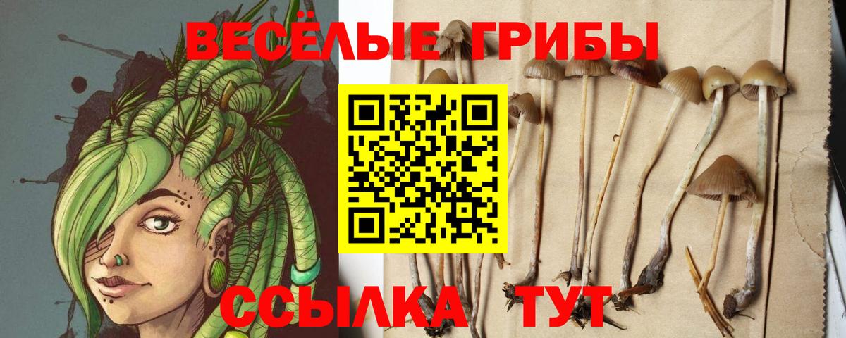 Галлюциногенные грибы MAGIC MUSHROOMS Касимов